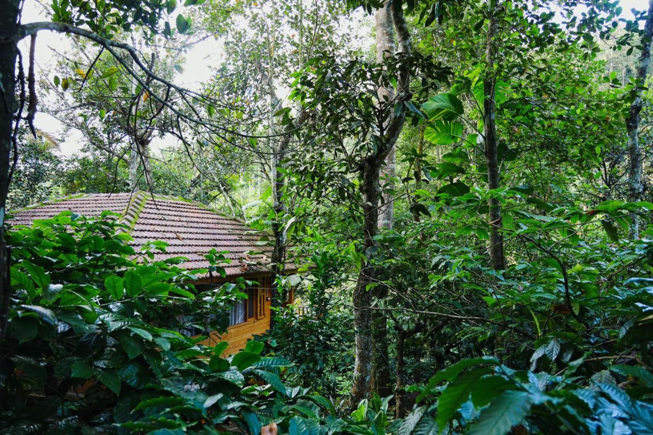 Vaduvanchal Bamboo Creek Resort מראה חיצוני תמונה