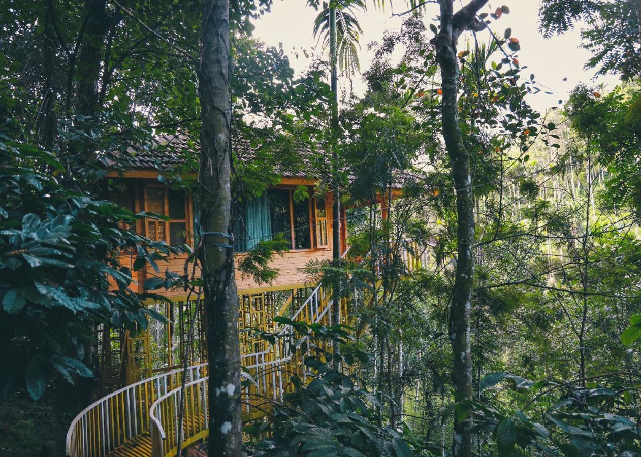 Vaduvanchal Bamboo Creek Resort מראה חיצוני תמונה