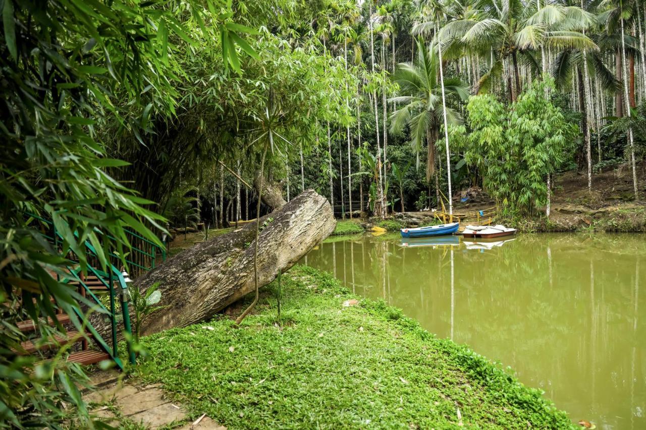 Vaduvanchal Bamboo Creek Resort מראה חיצוני תמונה