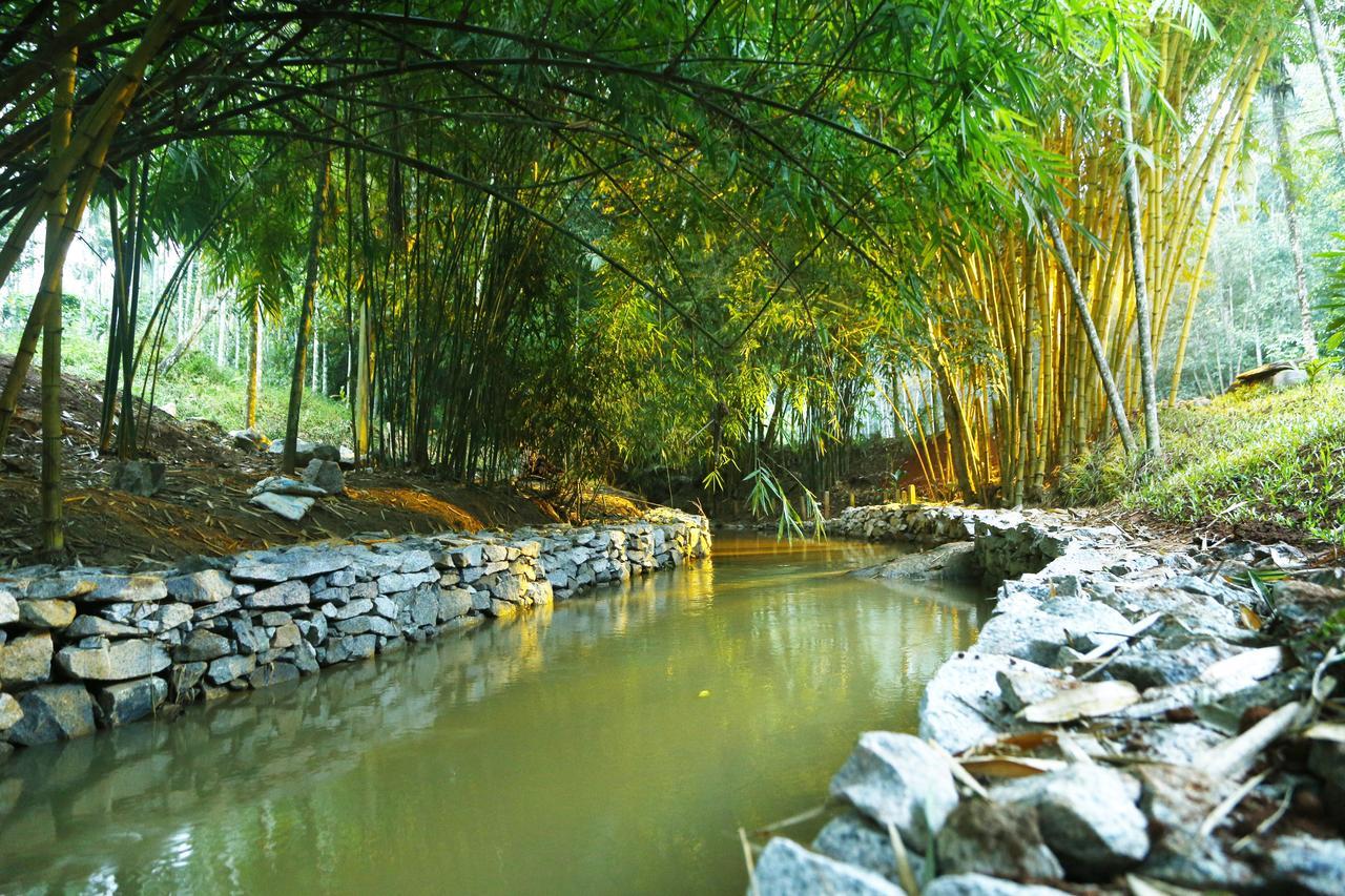Vaduvanchal Bamboo Creek Resort מראה חיצוני תמונה