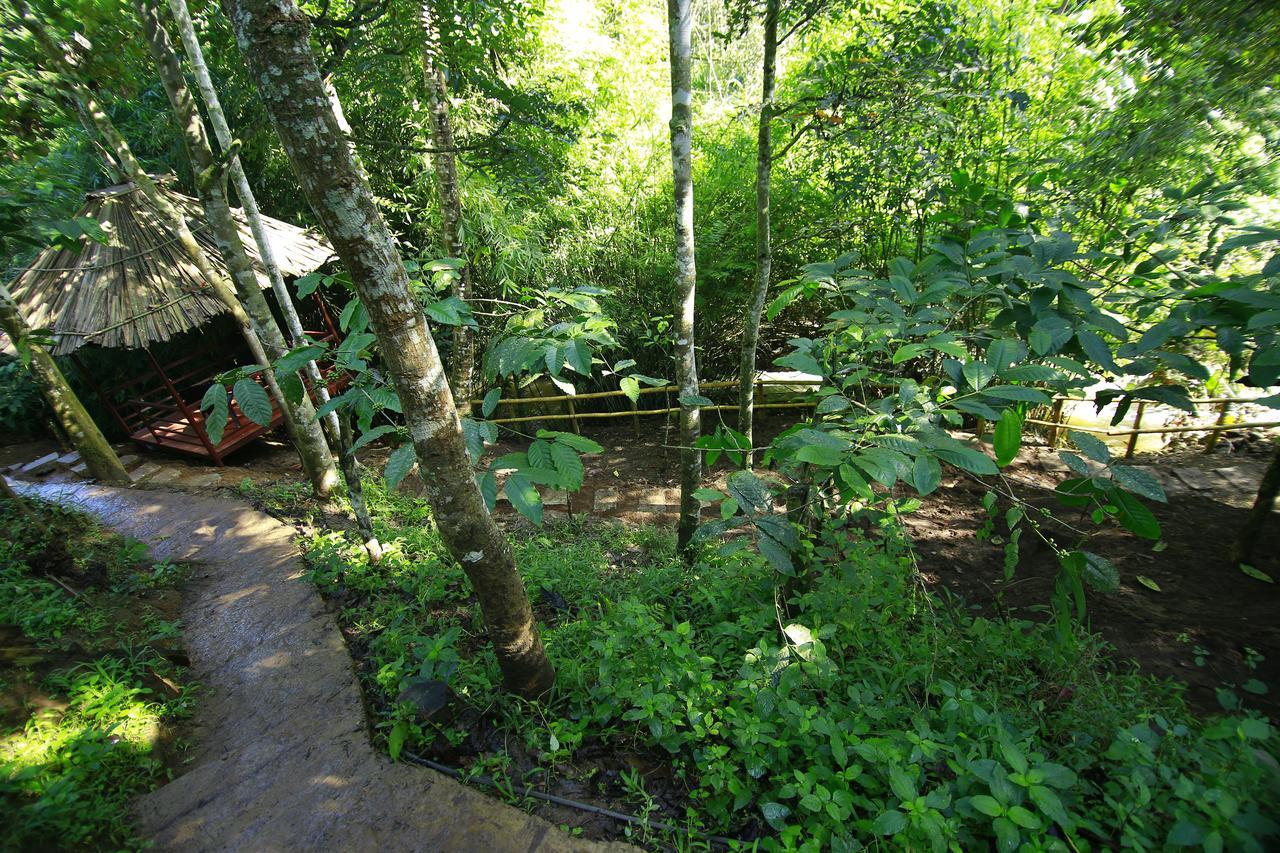 Vaduvanchal Bamboo Creek Resort מראה חיצוני תמונה