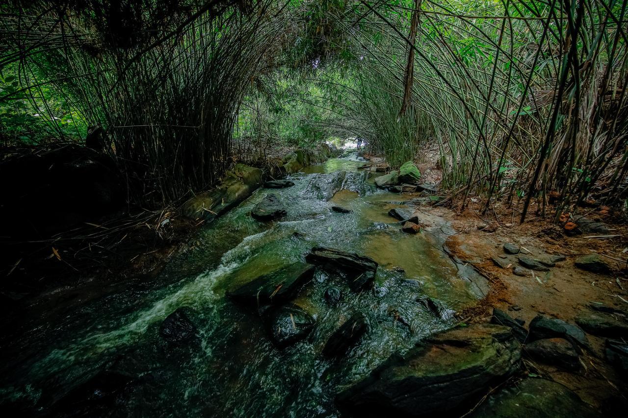 Vaduvanchal Bamboo Creek Resort מראה חיצוני תמונה