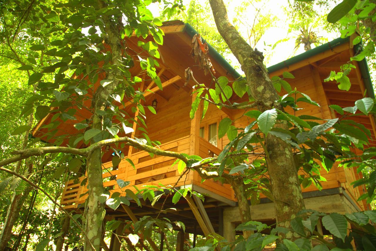 Vaduvanchal Bamboo Creek Resort מראה חיצוני תמונה