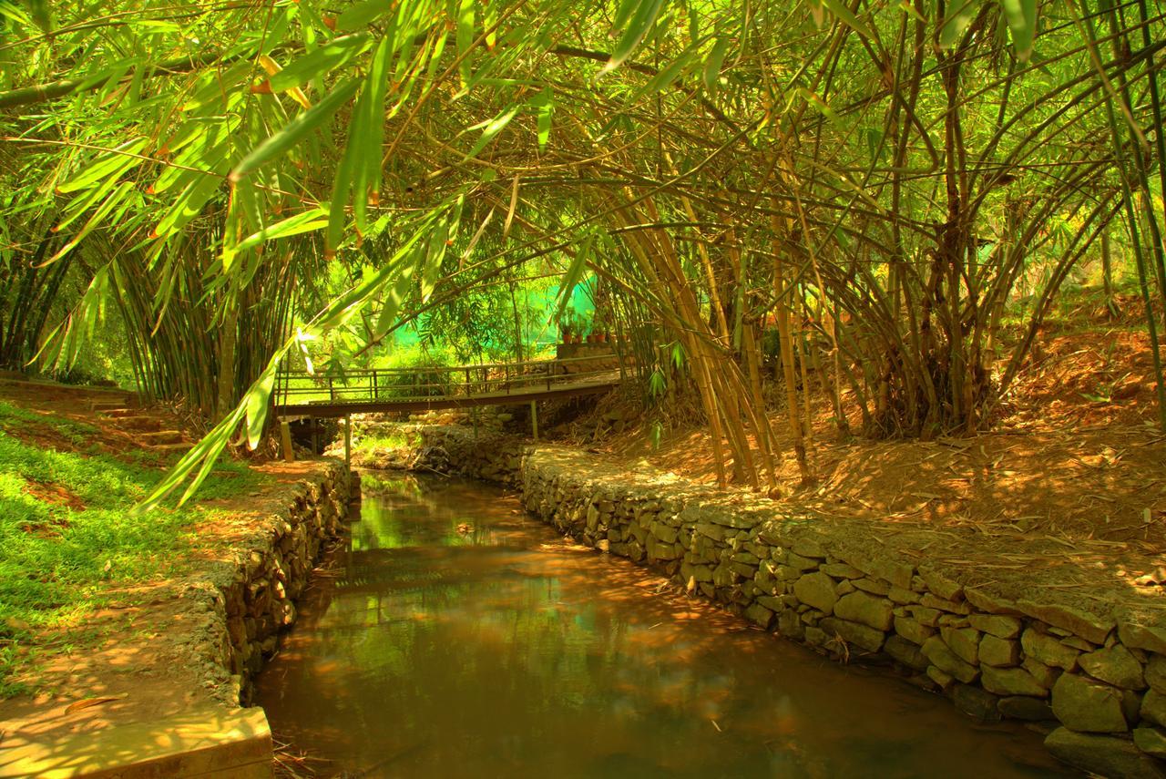 Vaduvanchal Bamboo Creek Resort מראה חיצוני תמונה