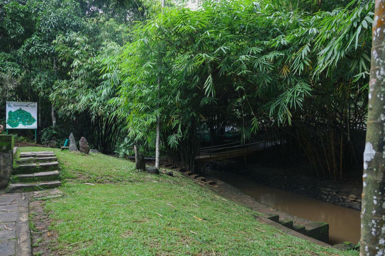 Vaduvanchal Bamboo Creek Resort מראה חיצוני תמונה