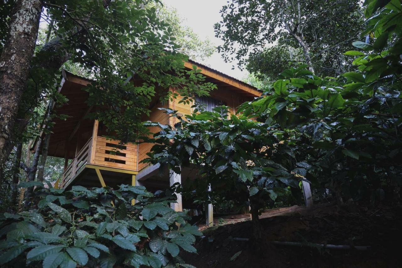 Vaduvanchal Bamboo Creek Resort מראה חיצוני תמונה