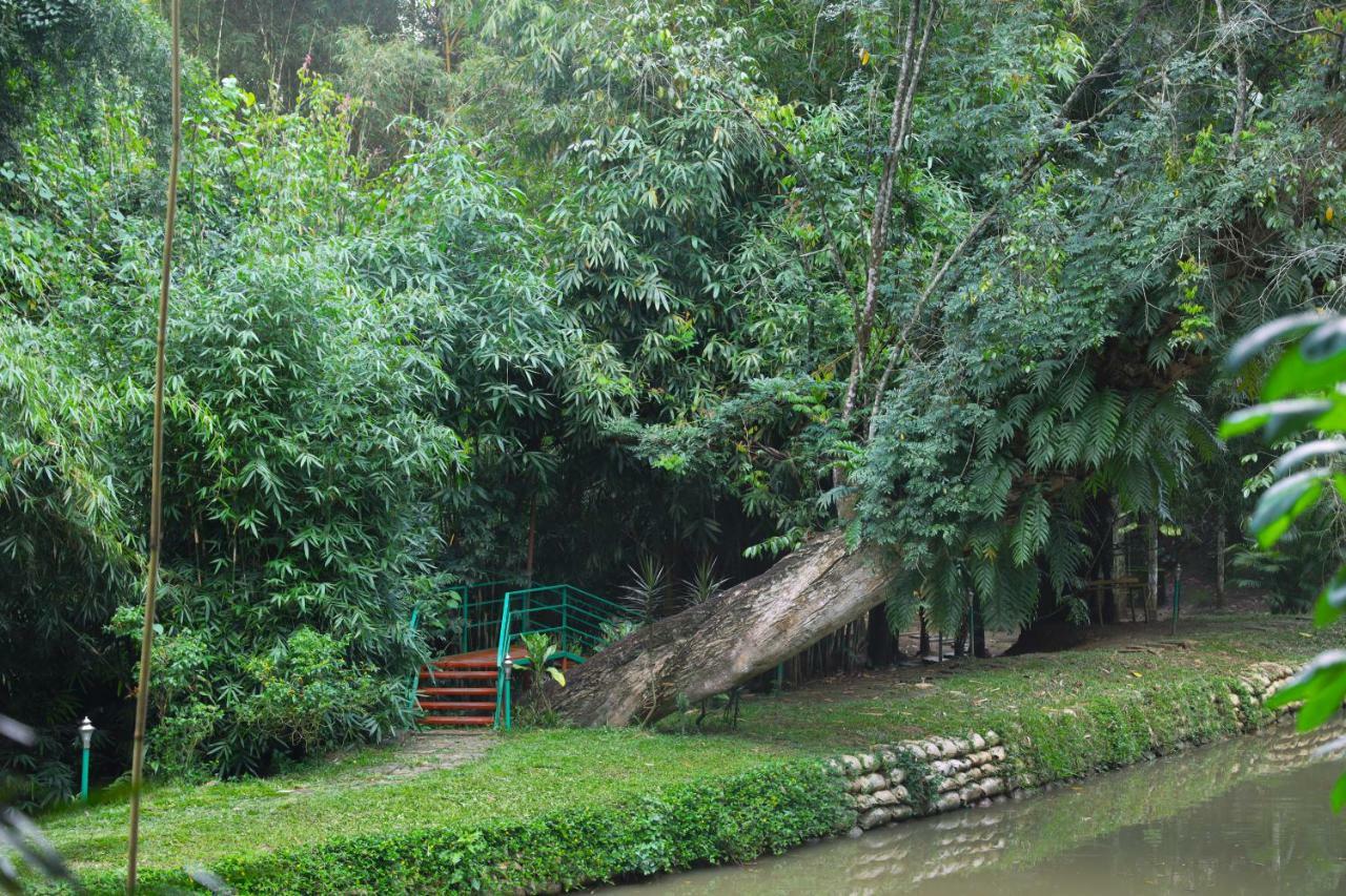 Vaduvanchal Bamboo Creek Resort מראה חיצוני תמונה